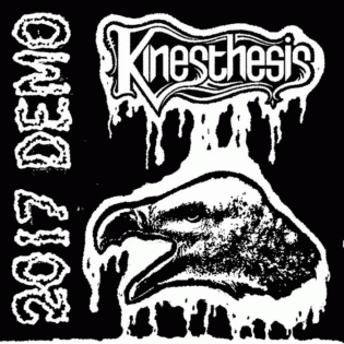 Kinesthesis : 2017 Demo